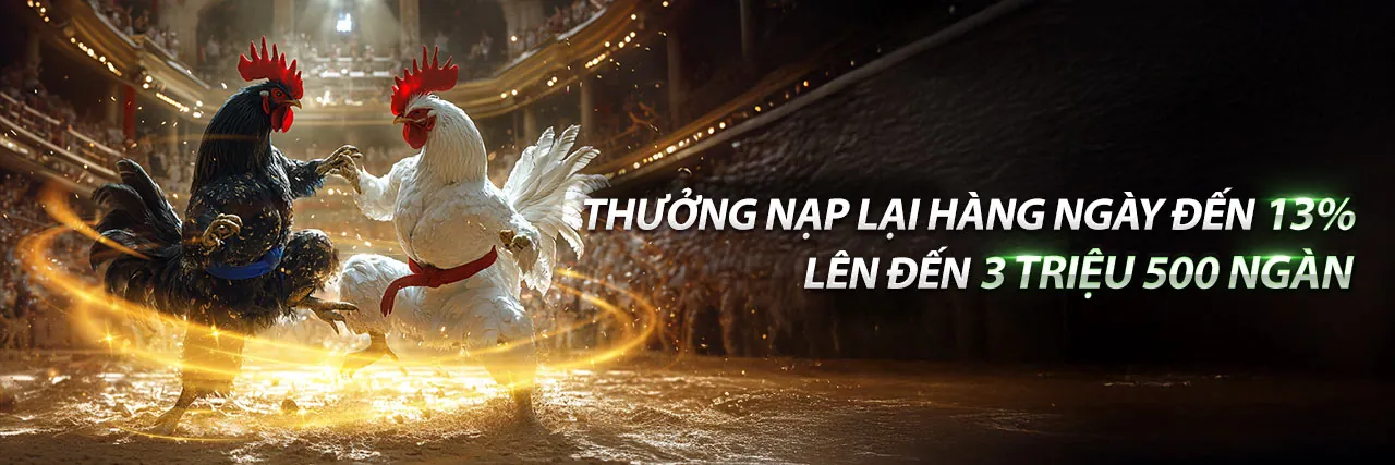 Dịch vụ hỗ trợ khách hàng chuyên nghiệp của tải 88bcl
